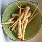Herbed Rack of Lamb with Spring Onion and Parnsnip-snip fries